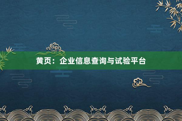黄页:企业信息查询与试验平台